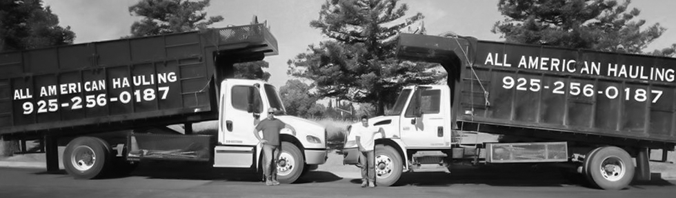 Bobcat & Tractor Services — landscape